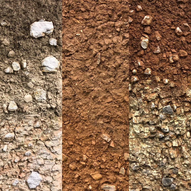 Soils comparison